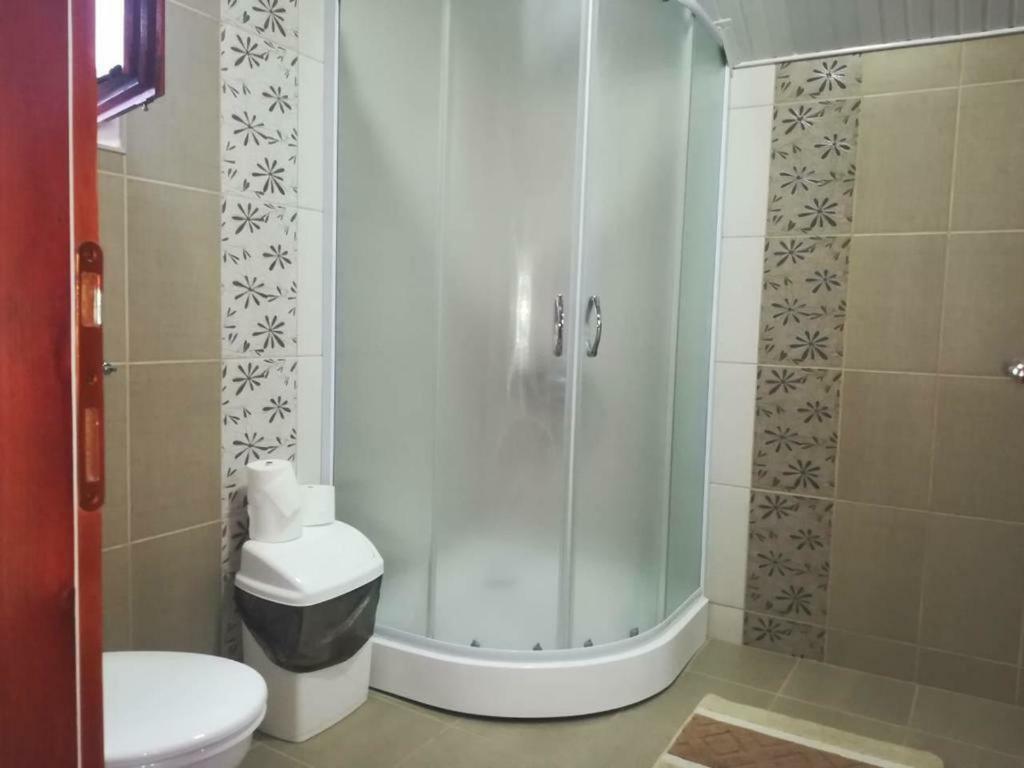Apartman Ivana Ica Soko Banja Ngoại thất bức ảnh